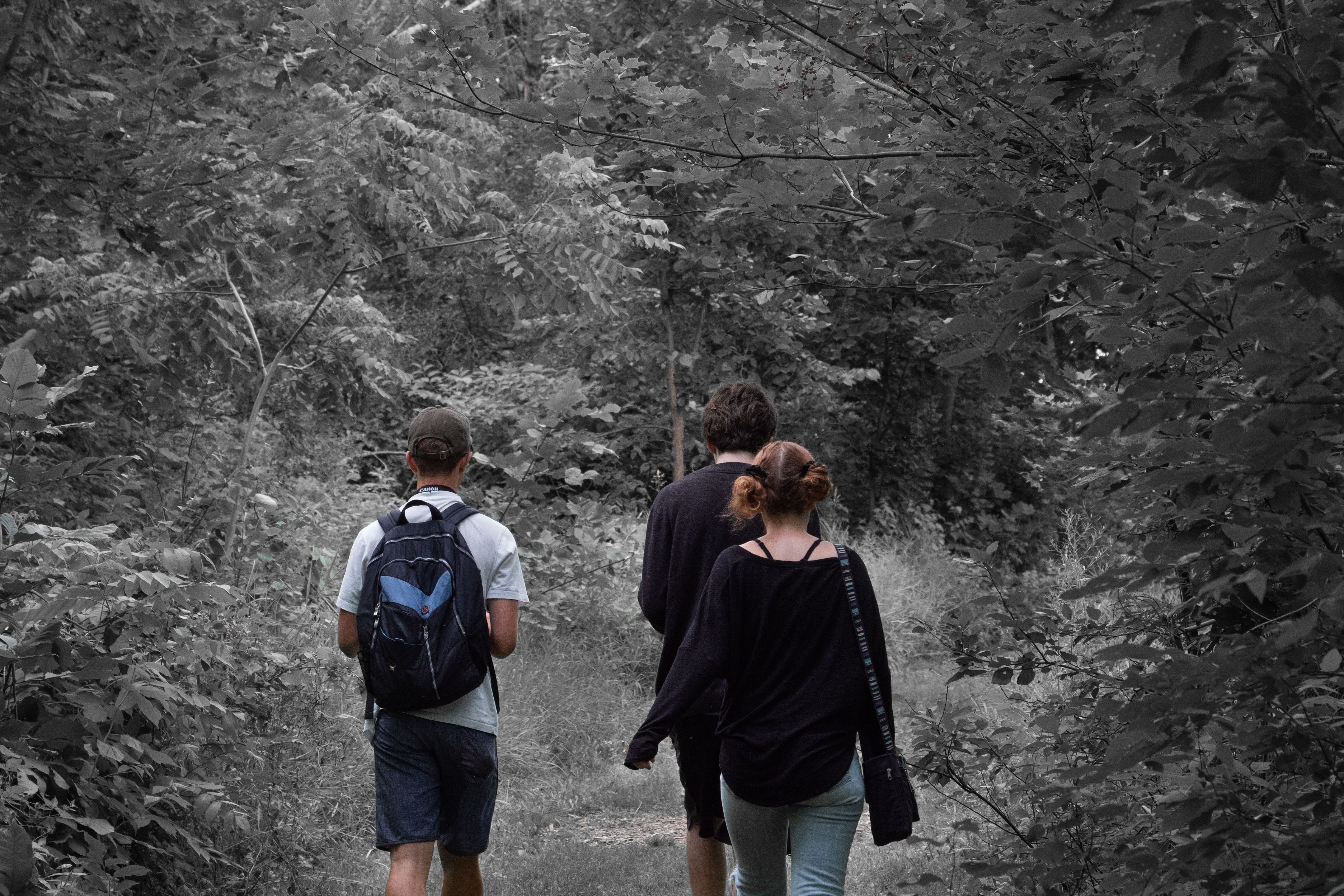 My friends, shot by me.